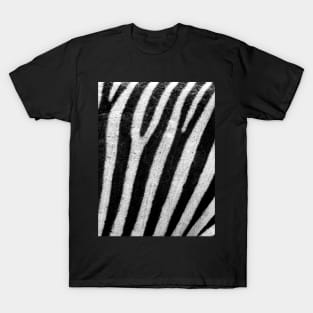 Zebra Stripes T-Shirt